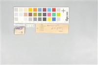 五色鳥藏品圖，第21張